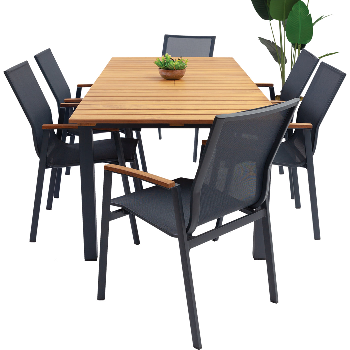 Plus Fileli Sandalye